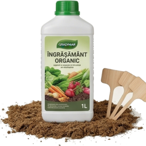 Ingrijirea plantelor